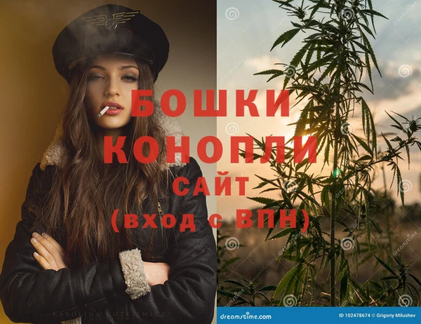 винт Алексин