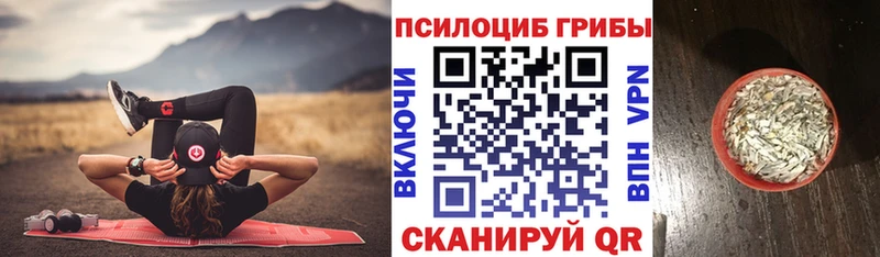Галлюциногенные грибы GOLDEN TEACHER Купить где Пестово
